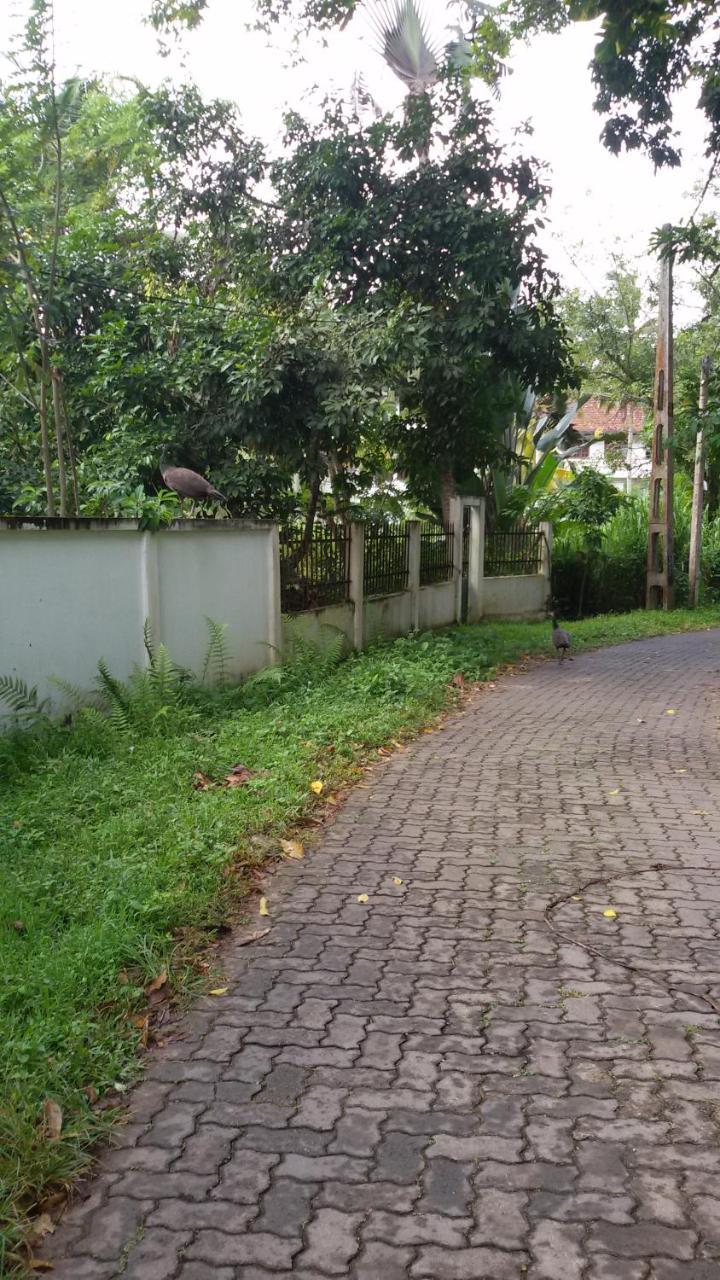 Vero Homestay Galle- Your Home Away From Home! Eksteriør bilde